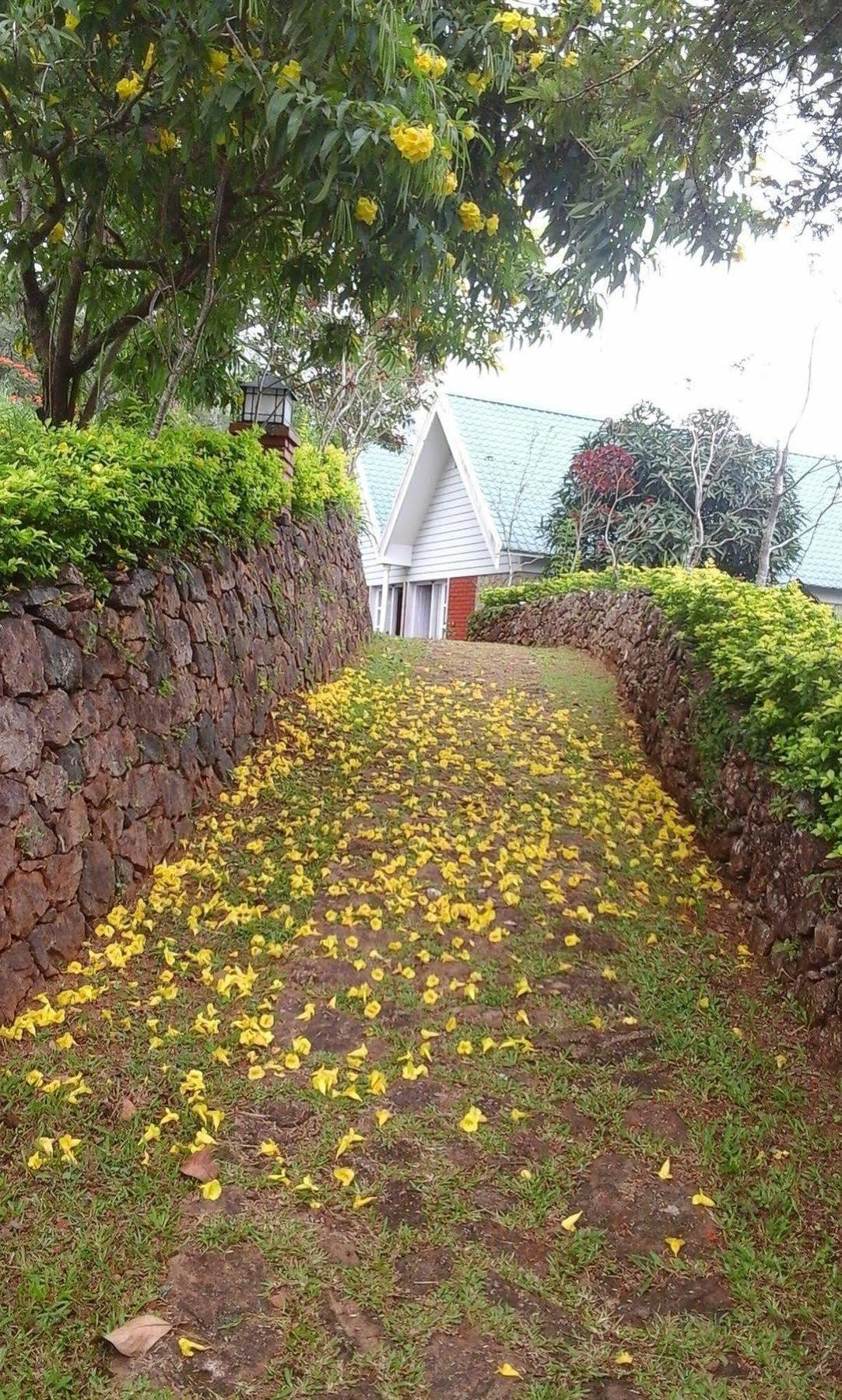 Ambady Estate Otel Munnar Dış mekan fotoğraf