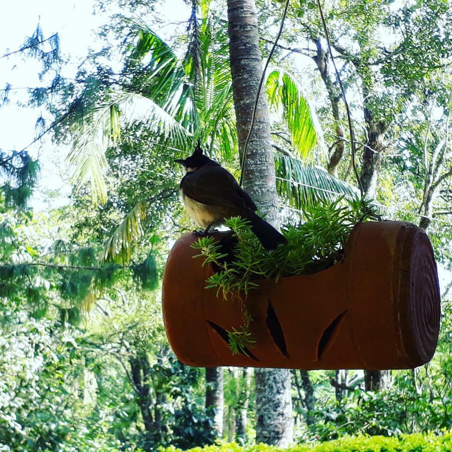 Ambady Estate Otel Munnar Dış mekan fotoğraf